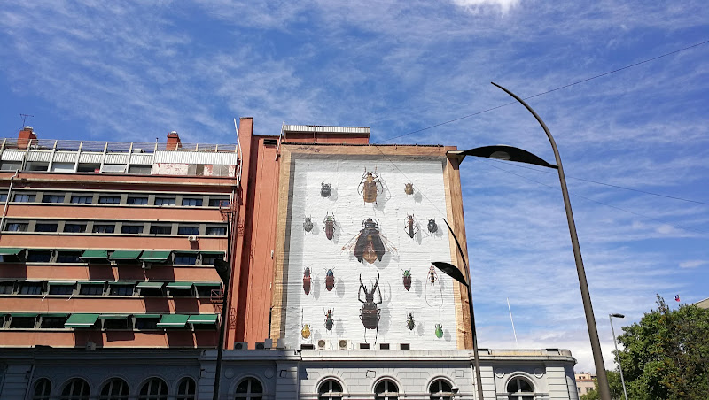 Ministerio De Educación